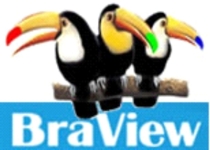BraView - Indstria de Produtos Eletrnicos do Brasil